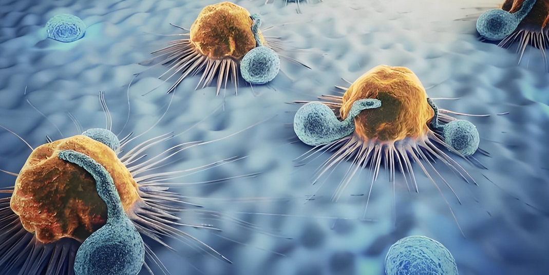 NK免疫细胞疗法预防和治疗肿瘤靠谱吗？回输后有哪些作用？