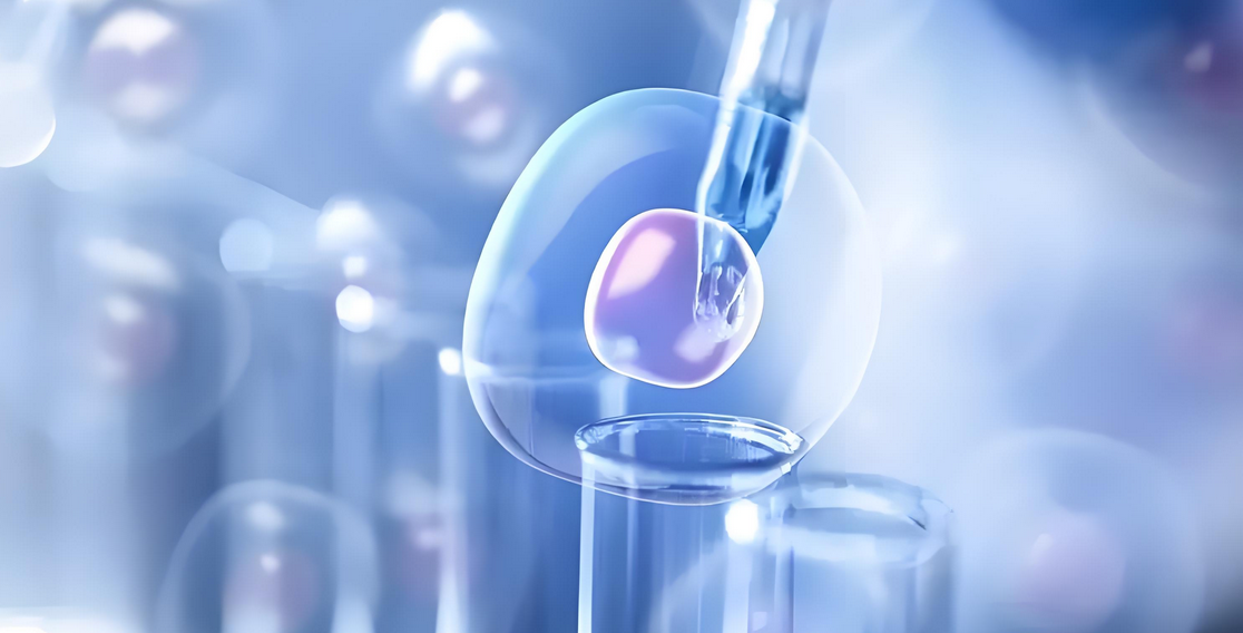 干细胞技术在临床应用中具有哪些潜在价值？