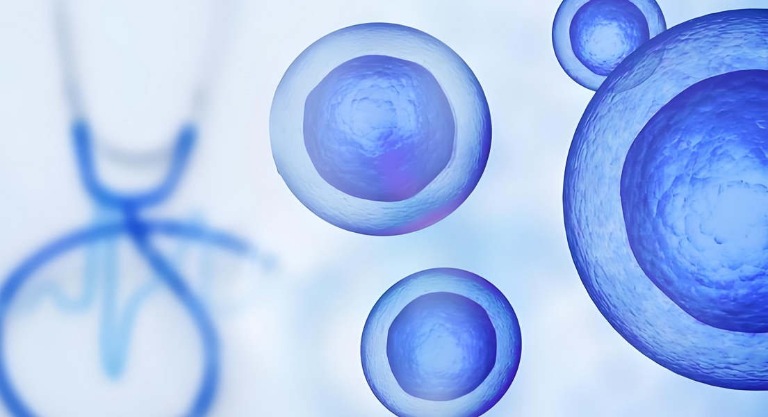 干细胞技术在临床应用中具有哪些潜在价值？