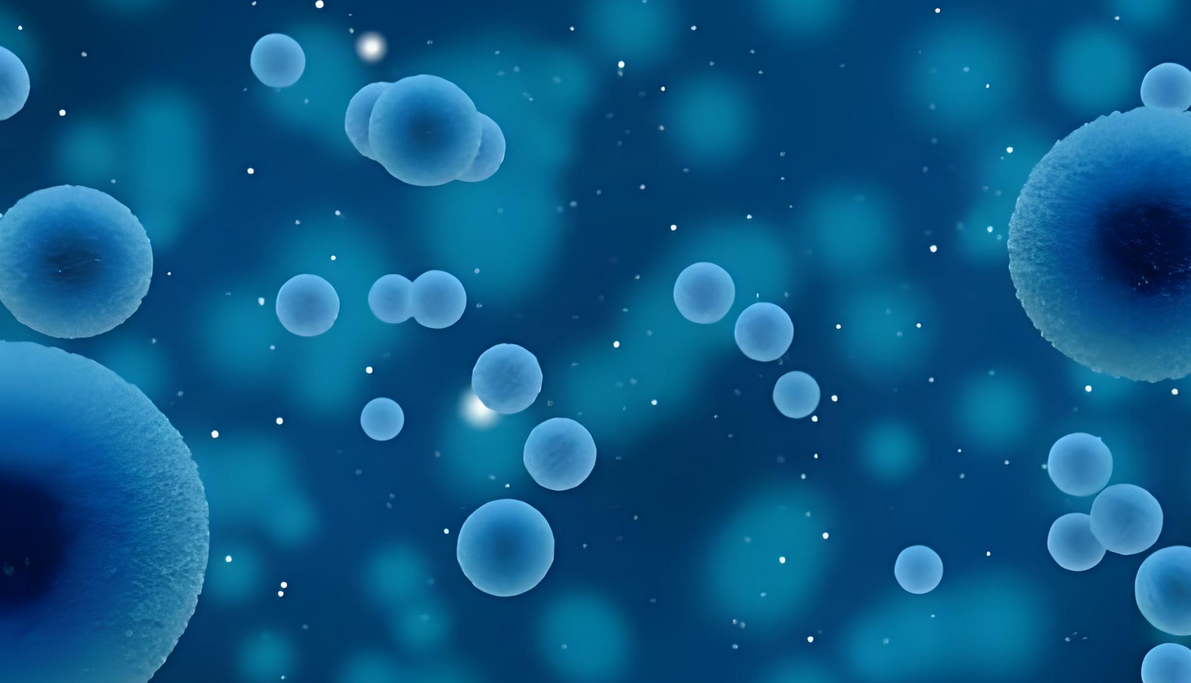 干细胞技术在临床应用中具有哪些潜在价值？