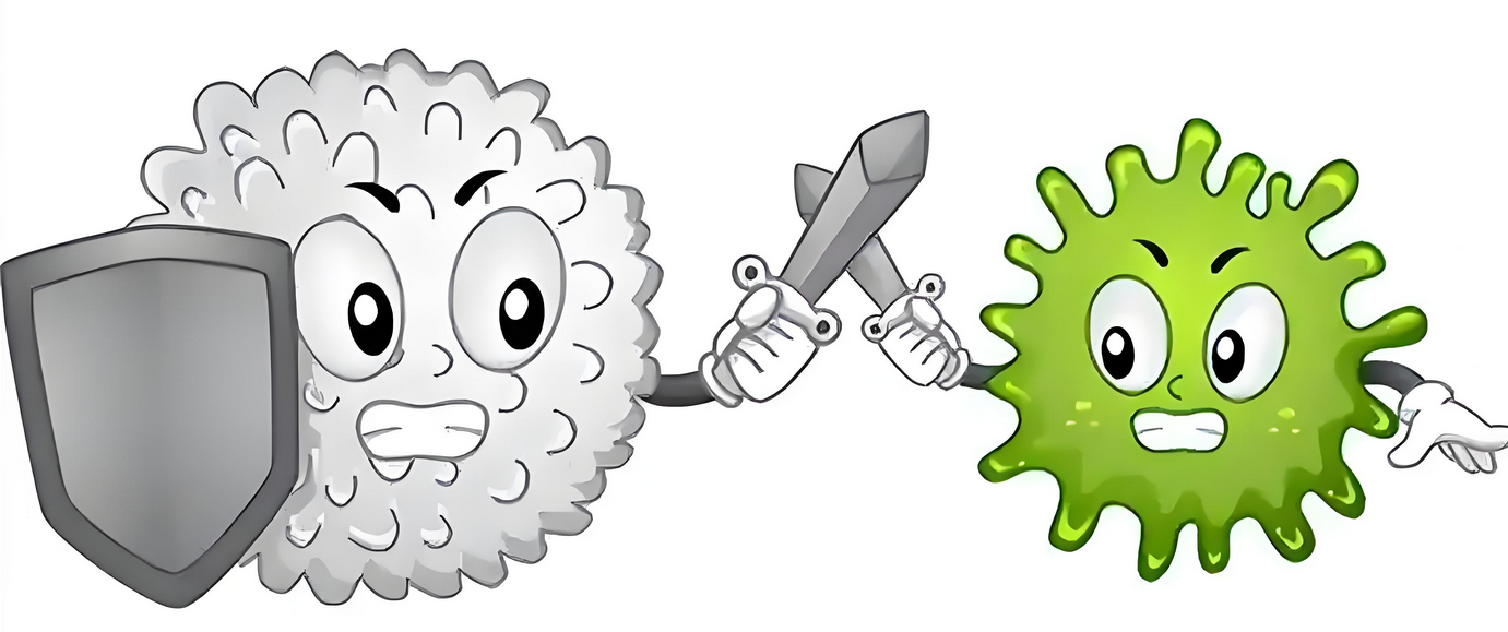 健康人群有没有定期回输免疫细胞的必要？