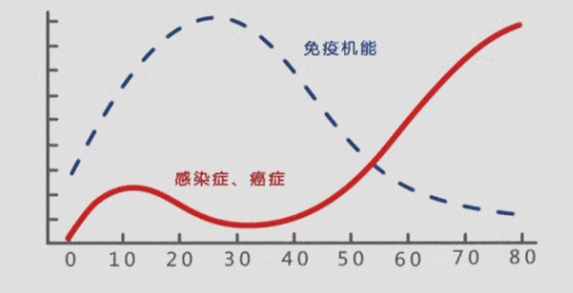 免疫系统衰退受损后，身体会发生哪些变化？