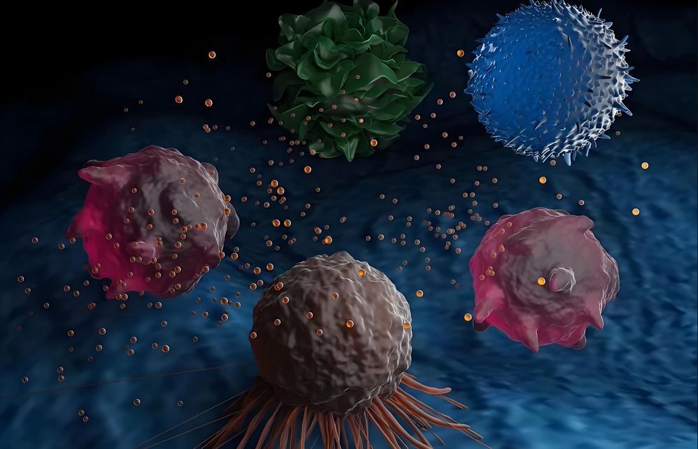 免疫系统衰退受损后，身体会发生哪些变化？