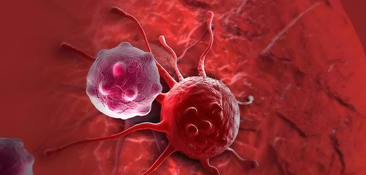 研究报道：通过回输NK细胞证明可消除慢性炎症并延缓衰老