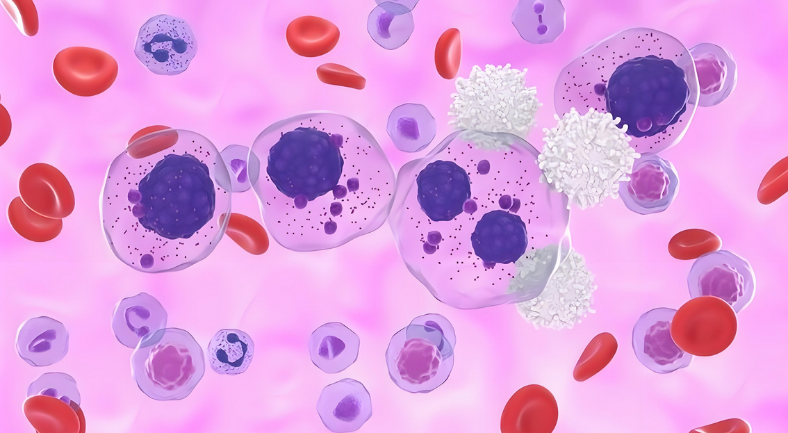 被称为免疫细胞中“特种兵”的NKT细胞有何独特之处