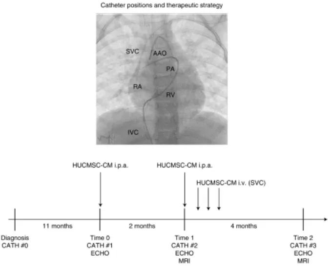 干细胞助您远离“三高”风险！