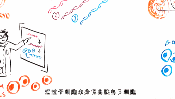 干细胞助您远离“三高”风险！