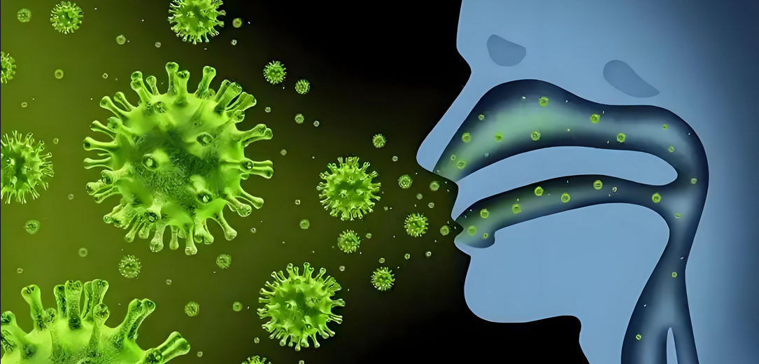 研究表明：间充质干细胞(MSC)可有效改善流感病毒感染和肺损伤