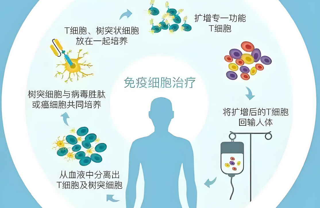 CIK细胞免疫治疗是如何工作的？