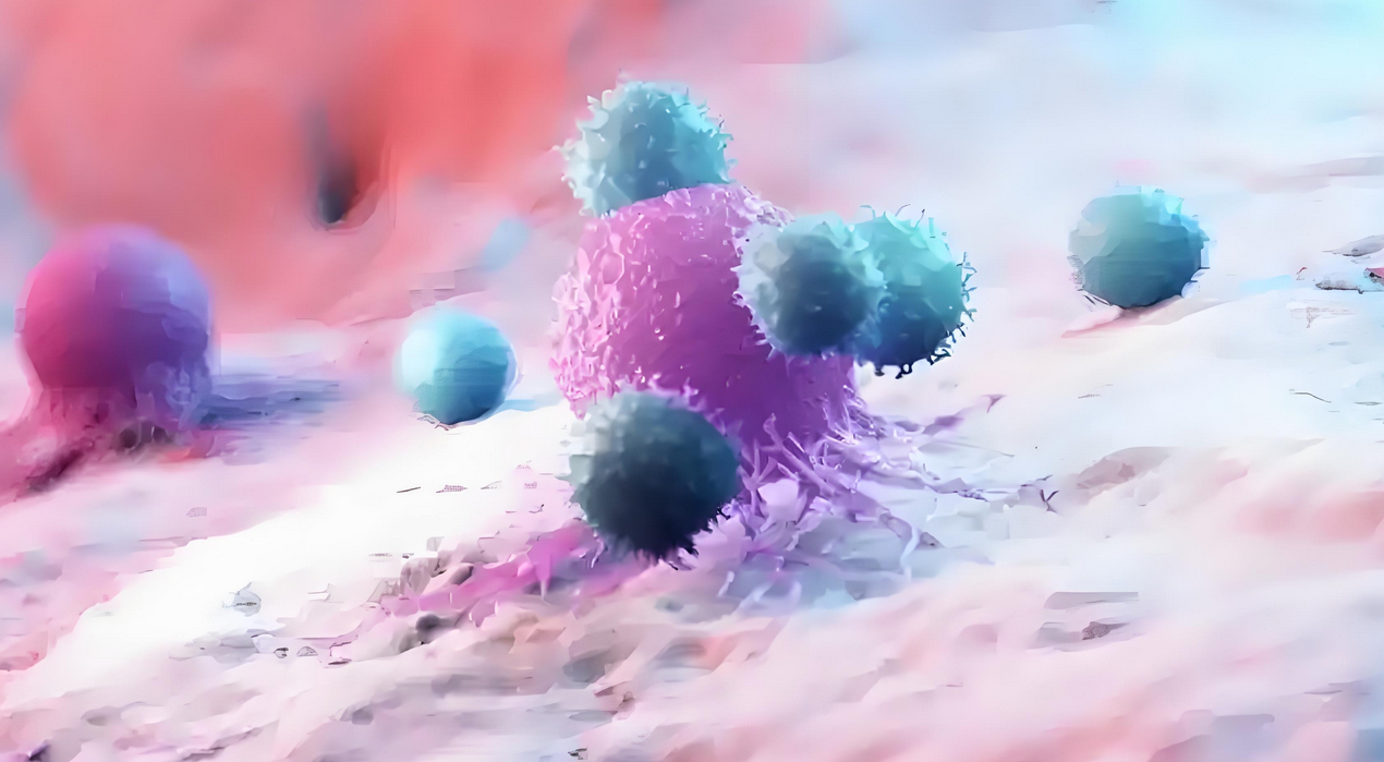 CIK细胞免疫治疗是如何工作的？