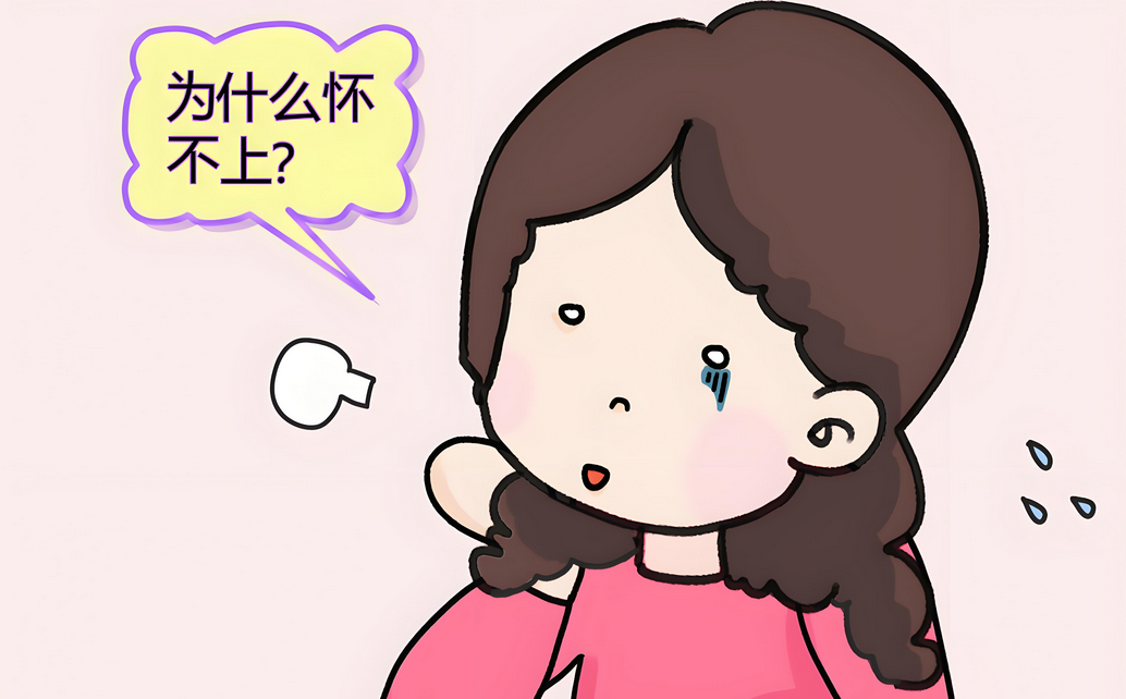 干细胞在女性不孕症中的研究应用