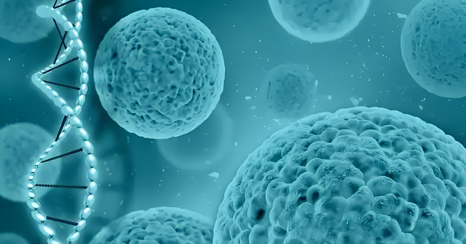 免疫系统是如何保护我们的身体免受疾病影响的？